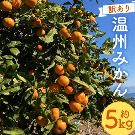 【ふるさと納税】【訳あり】 太陽と潮風を浴びて育った 長崎県時津町産 温州みかん 約5kg 2S～3Sサイズ ご家庭用 柑橘 蜜柑 九州産 長崎県産 果物 フルーツ 送料無料【2025年11月上旬~2026年1月下旬まで順次発送予定】