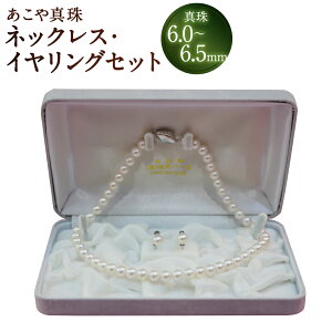 【ふるさと納税】【20-19】あこや真珠ネックレス・イヤリング(ピアス)セット 真珠:6.0〜6.5mm クラスプ:SVプッシュタイプ イヤリング金具:SVネジバネ シルバー アクセサリー ファッショ