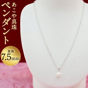 yӂ邳Ɣ[Łz^y_g ^7.5mm `F[40cm Vo[ lbNX ANZT[ AR^ ^ 茧 