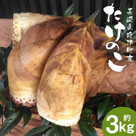 【ふるさと納税】たけのこ 約3kg ぬか・とうがらし付 採れたて 産地直送 筍 野菜 時津町産 長崎県産 九州産 送料無料【2026年4月上旬発送開始】