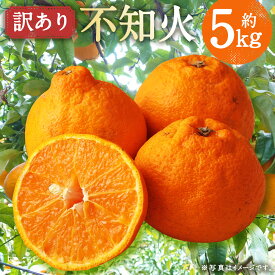 【ふるさと納税】訳あり 長崎県時津町産 不知火 約5kg ご家庭用 傷あり 小ぶり フルーツ 蜜柑 柑橘 国産 長崎県産 九州産 デコポンと同一品種 送料無料【2026年3月下旬発送開始】