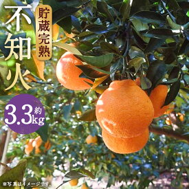 【ふるさと納税】数量限定 貯蔵 完熟不知火 約3.3kg フルーツ 蜜柑 柑橘 国産 長崎県産 九州産 デコポンと同一品種 送料無料【2026年3月下旬発送開始】
