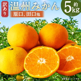 【ふるさと納税】【訳あり】 長崎県時津町産 温州みかん（原口、田口他） 計約5kg 2L～3Lサイズ ミカン 蜜柑 くだもの 果物 果実 フルーツ 長崎県産 国産 九州 長崎県 時津町 送料無料 【年内発送：2025年11月下旬～12月下旬迄発送予定】