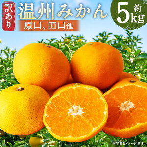 yӂ邳Ɣ[Łzy󂠂z 茧ÒY B݂iAcj v5kg 2L`3LTCY ~J   ʕ ʎ t[c 茧Y Y B 茧 Ò  yN