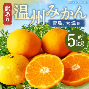 yӂ邳Ɣ[Łzy󂠂z 茧ÒY B݂iAÑj v5kg 2L`3LTCY ~J   ʕ ʎ t[c 茧Y Y B 茧 Ò  y2025N