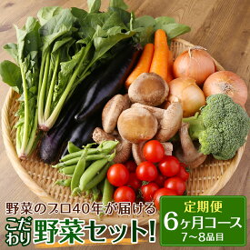 【ふるさと納税】【定期便 6ヶ月コース】野菜のプロ40年が届けるこだわり野菜セット！ 7～8品目×6回お届け 野菜 セット 詰め合わせ 毎月 6ヶ月 国産 九州産 長崎県 時津町 クール便 送料無料