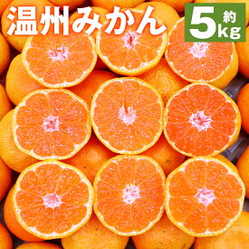 【ふるさと納税】時津町産 温州みかん 約5kg Sサイズ～2Lサイズ 柑橘 蜜柑 九州産 長崎県産 果物 フルーツ 送料無料【2025年12月上旬～2026年1月下旬に順次発送予定】