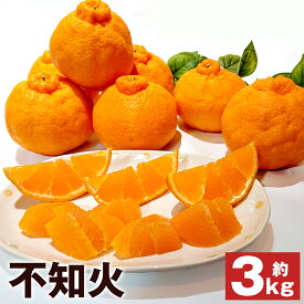 【ふるさと納税】春の柑橘 不知火 約3kg 6個～10個 秀品 柑橘 蜜柑 九州産 長崎県産 果物 フルーツ 送料無料【2026年2月下旬～3月下旬に順次発送予定】