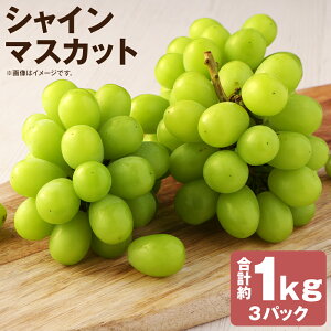 yӂ邳Ɣ[Łz󂠂 ƒp VC}XJbg 3pbN v1kg Ԃǂ  ʕ t[c 햳 ÒY 茧Y BY ① y2026N8{`9{\z