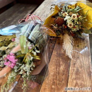 yӂ邳Ɣ[Łz  CeA hCt[ XbO STCY [~hu 茧 ދn hs42bag220000] t[ u[P  ֏