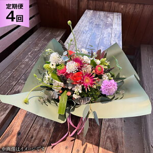 yӂ邳Ɣ[Łz   lG  AWg STCY v4 [~hu 茧 ދn hs42bag220011]  AWgt[ AWg ֏