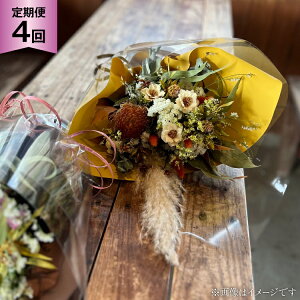 yӂ邳Ɣ[Łz   lG hCt[ XbO STCY v4 [~hu 茧 ދn hs42bag220015] t[ u[P  ֏