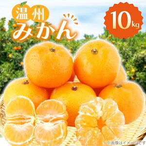 yӂ邳Ɣ[Łz ݂ B݂ 10kg 10L [ދn̑ 茧 ދn hs42bag270045] ~J 