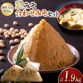 【ふるさと納税】 味噌 麦みそ 1kg 合わせみそ 900g [大渡商店 長崎県 東彼杵町 hs42bag590005] 減塩 手作り みそ ミソ 麦 合わせ味噌 詰め合わせ セット 調味料