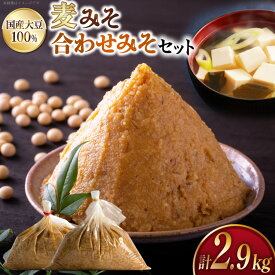 【ふるさと納税】 味噌 麦みそ 2kg 合わせみそ 900g [大渡商店 長崎県 東彼杵町 hs42bag590006] 減塩 手作り みそ ミソ 麦 合わせ味噌 詰め合わせ セット 調味料