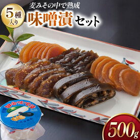 【ふるさと納税】 味噌漬け 詰め合わせ 田舎味噌漬け 5種 500g [大渡商店 長崎県 東彼杵町 hs42bag590009] 味噌 みそ ミソ みそ漬け 手作り ご飯のお供 漬物 漬け物