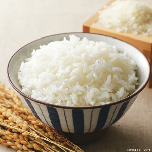 yӂ邳Ɣ[Łz  ȕ 10kg [X}CN[o[ 茧 ދn hs42bag850001]  