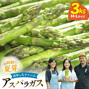 yӂ邳Ɣ[Łz AXp AXpKX ĉAXpKX 3.0kg M L TCY [͂FARM 茧 ދn hs42bag360007] AXp ς VN 