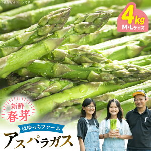 yӂ邳Ɣ[Łz AXp AXpKX tAXpKX 4kg M L TCY [͂FARM 茧 ދn hs42bag360018] AXp ς VN t