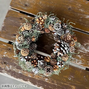 yӂ邳Ɣ[Łz NX}X  12菇 NX}X[X Z~hC 25cm [~hu 茧 ދn hs42bag220020]  CeA t[[X 