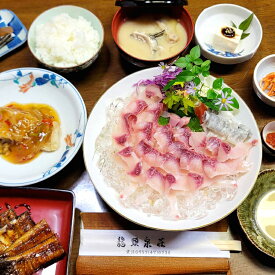 【ふるさと納税】お食事券 チケット 【川魚料理】田中屋(龍頭泉荘) お食事券 10,000円分 [田中屋(龍頭泉荘) 長崎県 東彼杵町 hs42bag680000] 川魚料理 お食事券 チケット 田中屋(龍頭泉荘)