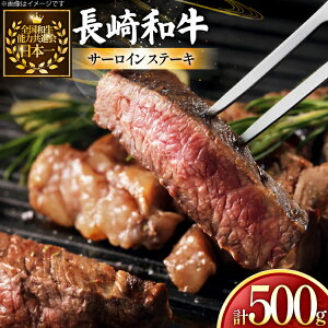 yӂ邳Ɣ[Łz  a T[C Xe[L 250g 2 500g [ 茧 ދn hs42bag750029] ~ Ԑg Xe[L T[C