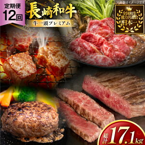 yӂ邳Ɣ[Łz  a ꓪv~Aցua܂邲Ɗ\v 12 v17.1kg [ 茧 ދn hs42bag750073] Ԃ Ă XCX   
