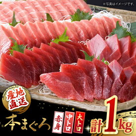 【ふるさと納税】長崎県産 本マグロ「大トロ・中トロ・赤身」詰め合わせ (総量1kg) まぐろ 鮪 さしみ 刺身 刺し身 冷凍 セット ブロック 東彼杵町/大村湾漁業協同組合 [BAK014]