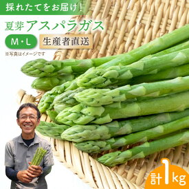 【ふるさと納税】夏芽アスパラガス 1kg（ML混合）アスパラガス アスパラ 野菜 新鮮 夏野菜 あすぱらがす あすぱら / 東彼杵町 / 前平農園 [BCG001]