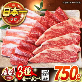 【ふるさと納税】【農場直営/A4ランク】長崎和牛焼肉3種(ロース・カルビ・赤身)食べ比べセット 750g（250g×3）やきにく 食べ比べ セット BBQ 【焼肉音琴】 [BCT019]