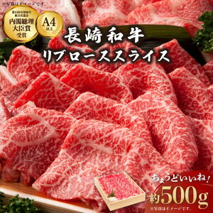 yӂ邳Ɣ[Łza u[X XCX 500gy쉺Xz[OAA004] / јa Ⓚz Ăp ₫ Ԃԗp  Y Ya  a  Ⓚ p 