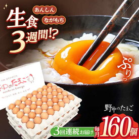 【ふるさと納税】【3回定期便】野中のたまご 160個×3回 総計480個 / 濃厚な味わい たまご 卵 黄身 つまめる！ブランド こだわり卵 卵かけごはん ピッタリ おいしい 大崎半島 大自然 タマゴ 長崎県産 玉子 生卵 鶏卵 鶏 お土産 ギフト 朝食【野中鶏卵】 [OAC010]