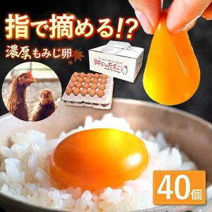 yӂ邳Ɣ[Łz ݂   ܂ 40 12Ȃy쒆{z[OAC013]