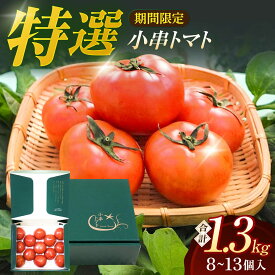 【ふるさと納税】《日本一 獲得実績アリ！》最高級 特選 小串トマト 約1kg【東彼新鮮市場】[OAE001] / とまと ブランドトマト 小串とまと 化粧箱入り 贈答用 野菜 季節の野菜 お取り寄せ 特産品 贈答用 1万円台 一万円台 長崎県産 九州産 ご当地 産地直送 特産 トマト tomato