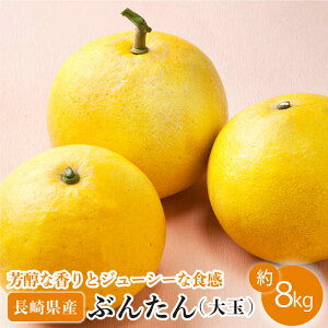 yӂ邳Ɣ[Łzys\zԂ񂽂  8kgyԂ񂽂̉z[OAF001] / U u^ 蕨 Mtg t[c ʕ Â  茧Y k fU[g ݂ 񂫂 