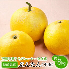 【ふるさと納税】【数量限定】「ぶんたん 中玉」 約8kg 完熟 贈り物 ギフト / ブンタン フルーツ 果物 甘い 数量限定 長崎県産 柑橘 デザート【長崎ぶんたんの会】 [OAF002]（季節もの）