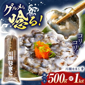 【ふるさと納税】＜川棚イチオシ＞川棚 なまこ 約1kg/500g 【選べる容量】【森水産】[OAI001] / コリコリ 食感 おせち 正月 ナマコ 逸品 肴 おつまみ 魚介類 海鮮 冷蔵 九州産 長崎県産 1万円 人気 ポン酢 お取り寄せ グルメ