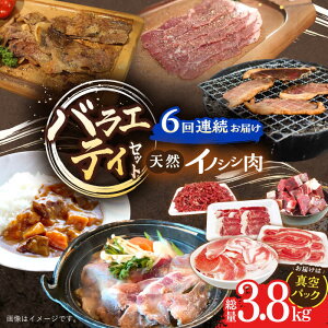 yӂ邳Ɣ[Łzy6ցz oGeBZbg 3.8kg / Ⓚ ̂ CmVV  WrG  VV ̂ CmVV ڂ ēp ؂藎Ƃ ܐ؂ XCX Ⓚ