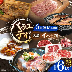 yӂ邳Ɣ[Łzy6ցz oGeBZbg 6.0kg / Ⓚ ̂ CmVV  WrG  VV ̂ CmVV ڂ ēp ؂藎Ƃ ܐ؂ XCX Ⓚ
