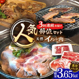 【ふるさと納税】【3回定期便】ジビエ 天然 イノシシ肉 人気部位 総量3.65kg / 猪 いのしし イノシシ 猪肉 お肉 精肉 冷凍 九州産 長崎県産【照本食肉加工所】 [OAJ076]