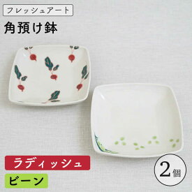 【ふるさと納税】【波佐見焼】フレッシュアート 角預け 鉢 2個〈ビーン・ラディッシュ〉 / プレート デザート皿 小皿 取り皿 器 オシャレ かわいい おしゃれ お洒落 焼き物 焼物 工芸品 波佐見 食器 ギフト 【菊祥陶器】[OAQ049]