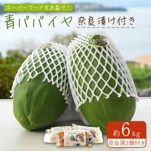 yӂ邳Ɣ[ŁzIY ppC 6kg ppC̓ޗǒ3t / \^ X[p[t[h Lx  yf h{f _CGbg e J[ Е r^~C IY  GXjb