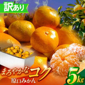 yӂ邳Ɣ[Łz󂠂 ݂ 5kgyɔ_z[OBP002] / 킯 ~J A _ 󂠂݂