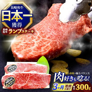 yӂ邳Ɣ[Łzy3ցzavXe[L 300g(150g×2)y z[OCE014]