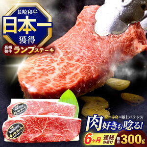 yӂ邳Ɣ[Łzy6ցzavXe[L 300g(150g×2)y z[OCE015]