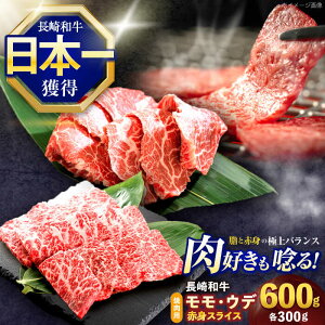 yӂ邳Ɣ[Łza ēp ԐgXCX600g (EEf e300g)y z[OCE096]
