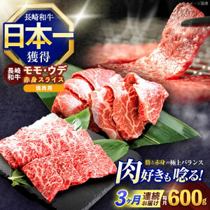 yӂ邳Ɣ[Łzy3ցza ēp ԐgXCX600g (EEf e300g)y z[OCE097]