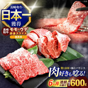 yӂ邳Ɣ[Łzy6ցza ēp ԐgXCX600g (EEf e300g)y z[OCE098]
