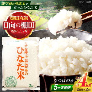 yӂ邳Ɣ[Łzy5ցz󑠂̐ňIcāwЂȂāx 4kg(2kg×2) y؏ꒆRԊǗgz[OCM013]