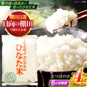 yӂ邳Ɣ[Łzy6ցz󑠂̐ňIcāwЂȂāx 4kg(2kg×2) y؏ꒆRԊǗgz[OCM014]
